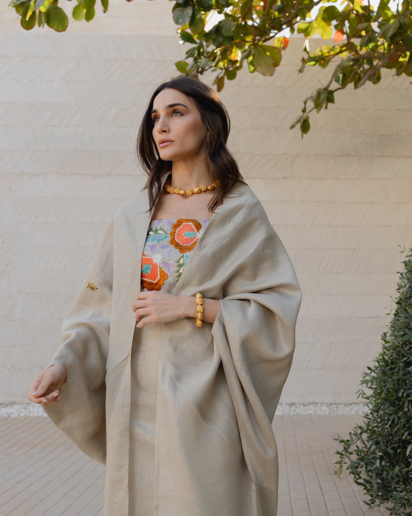 Dress and Abaya فستان وعباءة