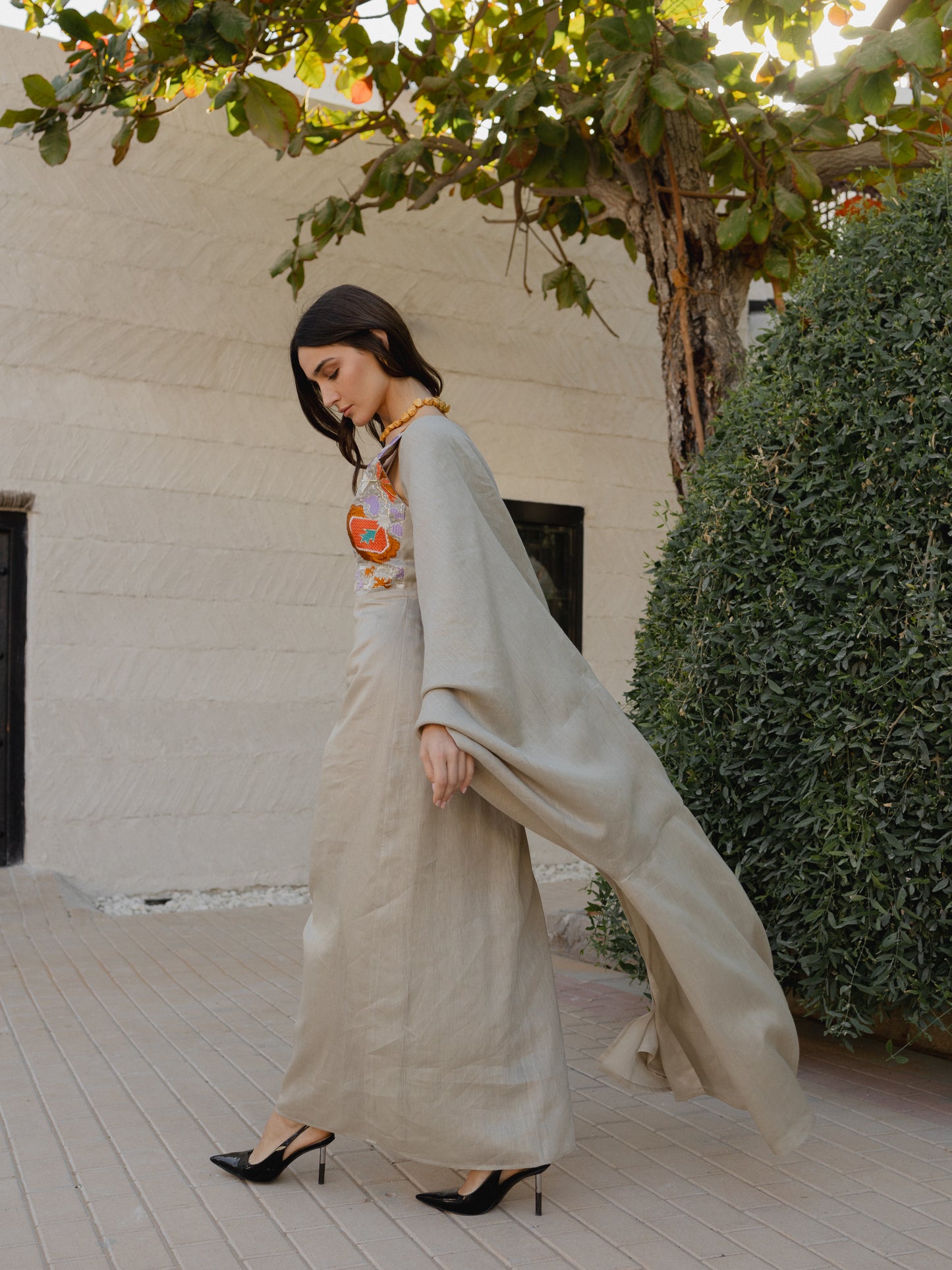 Dress and Abaya فستان وعباءة