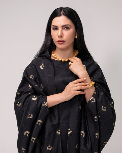 Bisht and Dress Kashmiri Embroidery